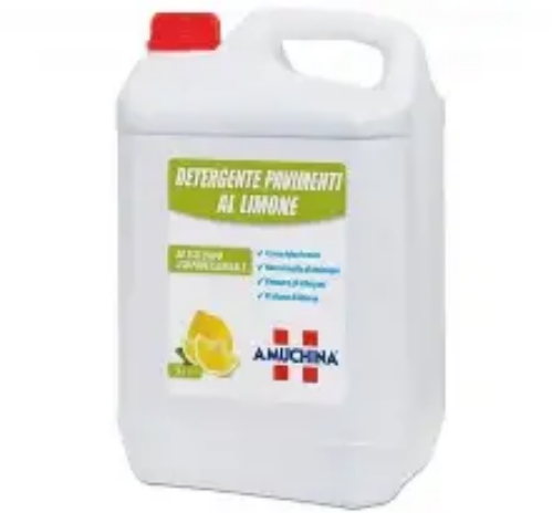 Amuchina Pavimento 5lt