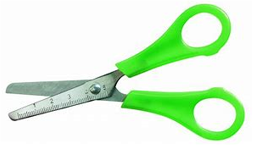 Forbici Collage Lama Centimetratat in Acciaio Tonda 13,5cm